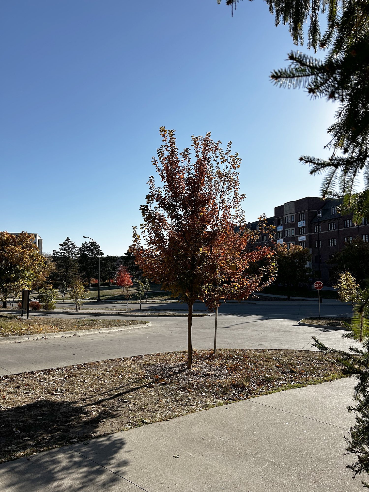 context photo